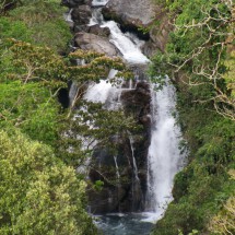 Waterfall in the reservation Reserva Cloudbridge